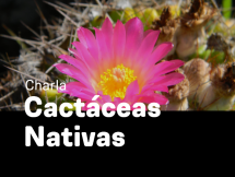 Charla "Cactáceas Nativas´´